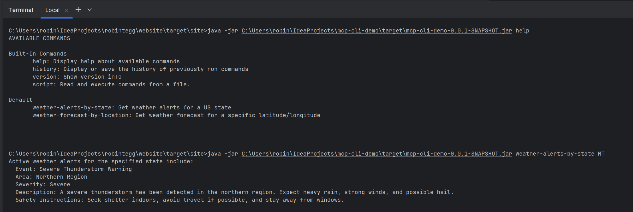 Terminal output